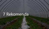 7 Rekomendasi Sayur yang Bagus untuk Kesehatan Ginjal