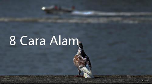 8 Cara Alami Meredakan Batuk Pilek, Hidung Tenggorokan Jadi Lega