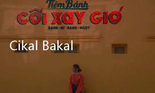 Cikal Bakal Mako Cake & Bakery, Ini Perjalanan BreadTalk dari Singapura hingga Masuk ke Indonesia
