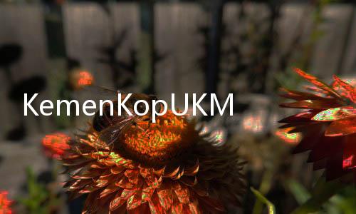 KemenKopUKM Ungkap Peran Penting UMKM dalam Berantas Kemiskinan