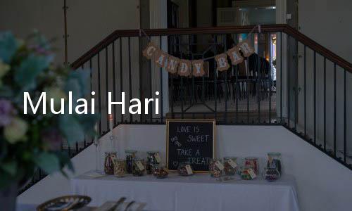 Mulai Hari Ini, Si Kembar Rihana