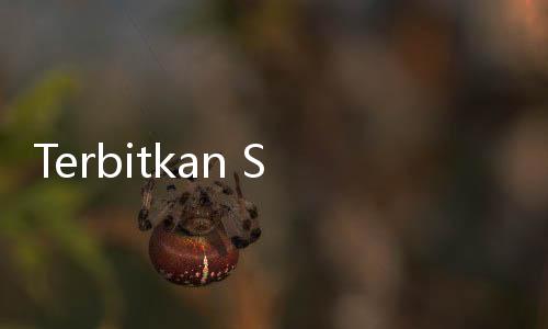 Terbitkan Surat Edaran, Kemenkop Percepat Tata Cara Pembentukan Kopdes Merah Putih